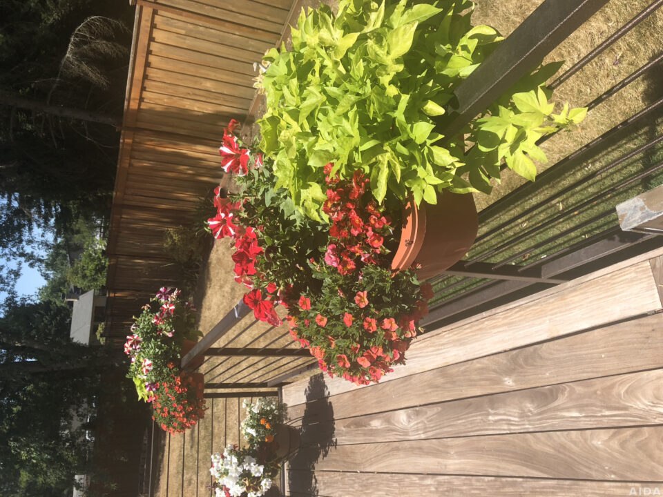 Warm home environment at Extra Mile Home Care