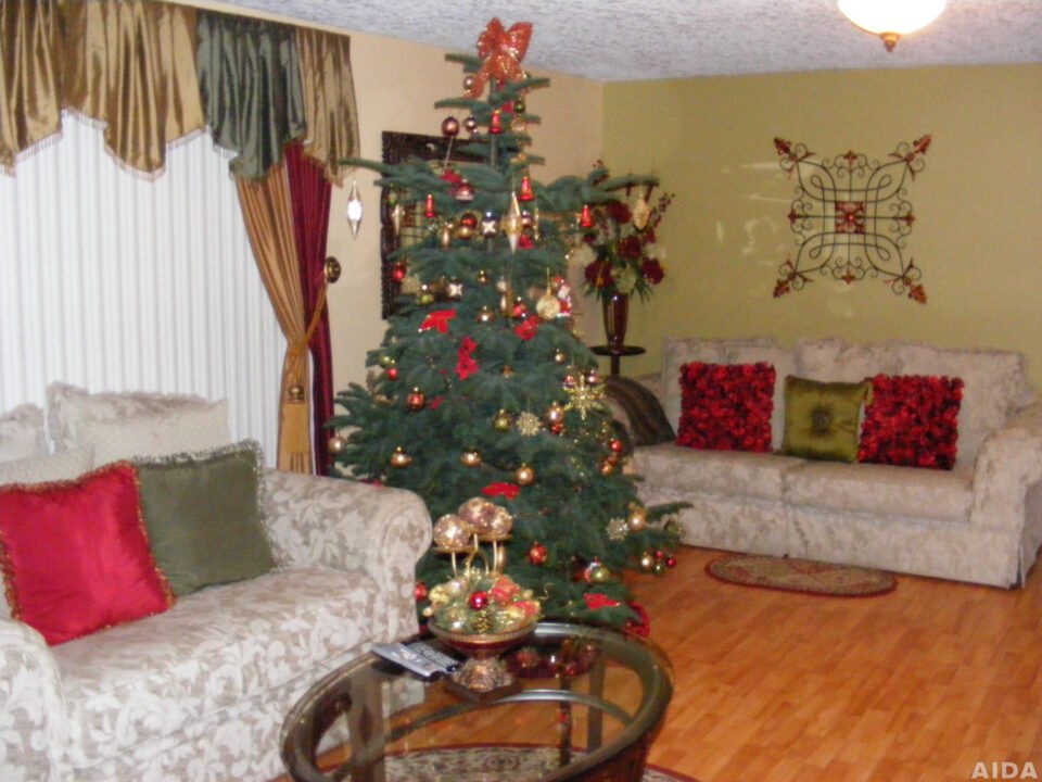 Comfortable living space