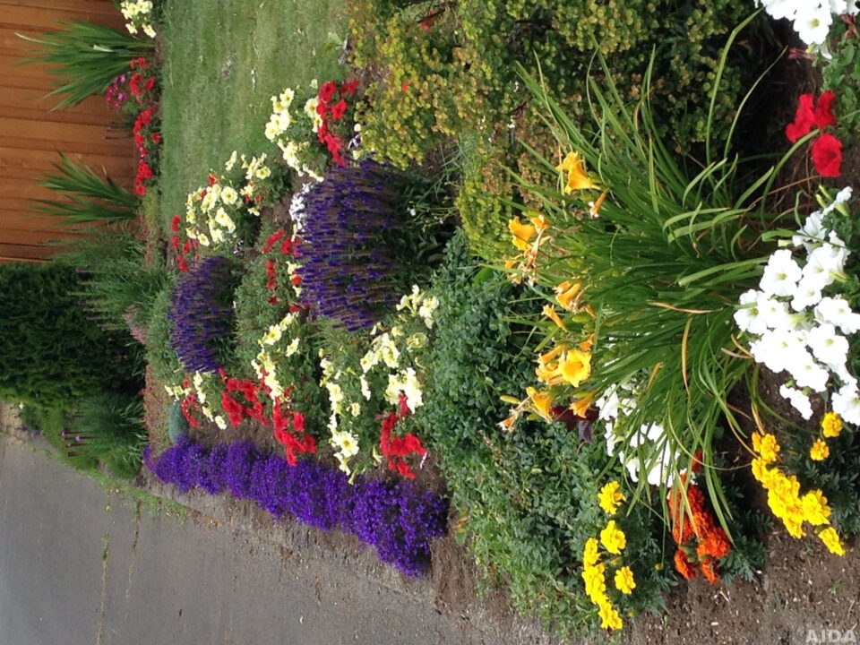 Beautiful grounds